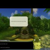 Dragon Ball Online Global - Hello Turtle