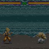 Dragon Ball Z Mugen Hyper Dimension - In game screenshot
